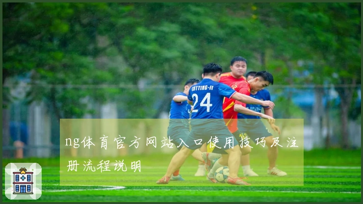 ng体育官方网站入口使用技巧及注册流程说明