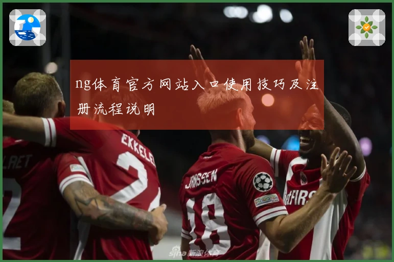 ng体育官方网站入口使用技巧及注册流程说明