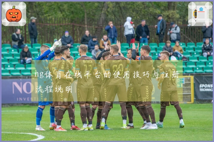 ng体育在线平台的使用技巧与注册流程说明