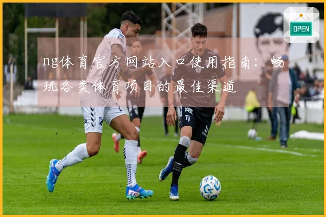 ng体育官方网站入口使用指南：畅玩各类体育项目的最佳渠道