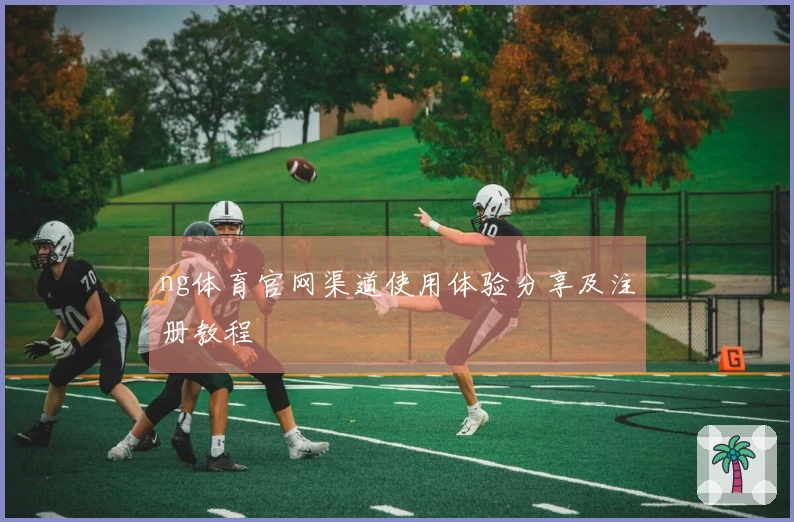 ng体育官网渠道使用体验分享及注册教程