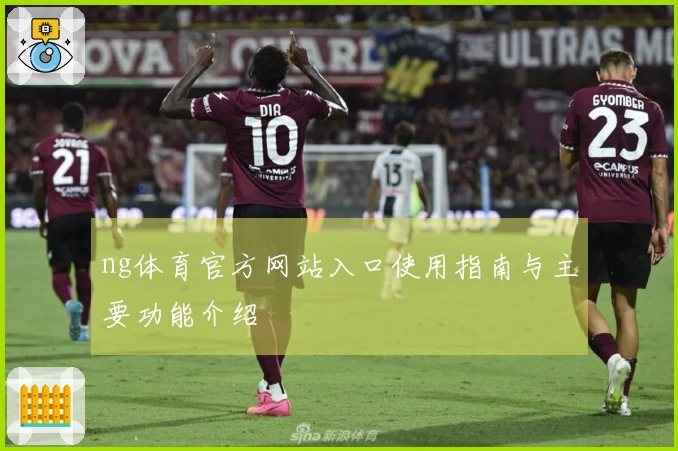 ng体育官方网站入口使用指南与主要功能介绍