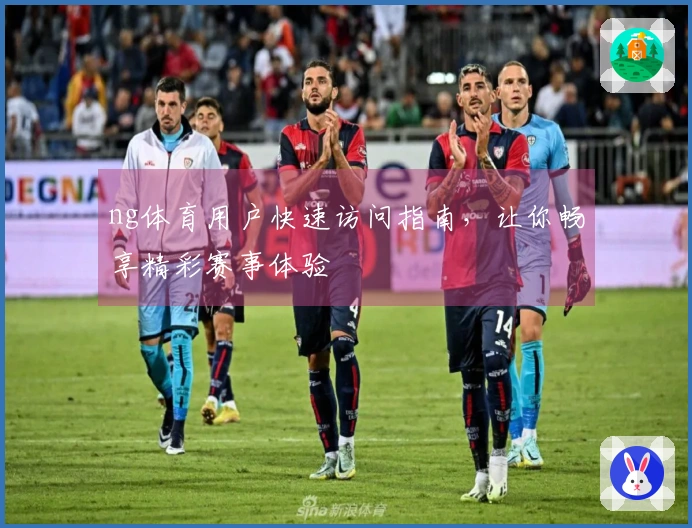 ng体育用户快速访问指南，让你畅享精彩赛事体验