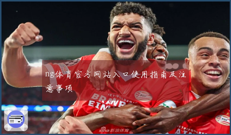ng体育官方网站入口使用指南及注意事项