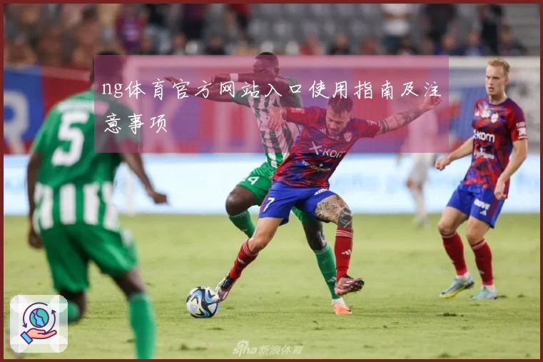 ng体育官方网站入口使用指南及注意事项