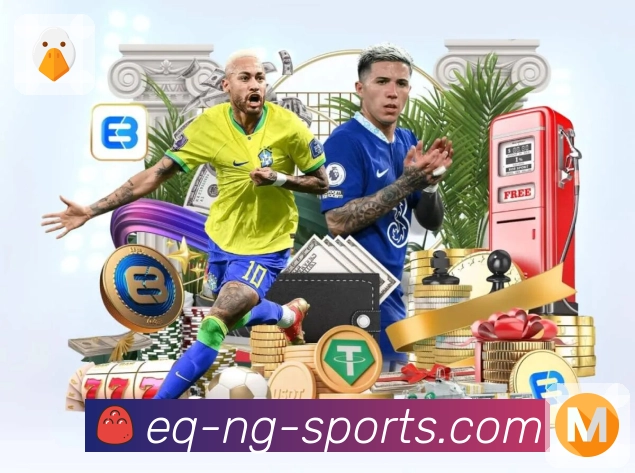 ng体育APP 封面图
